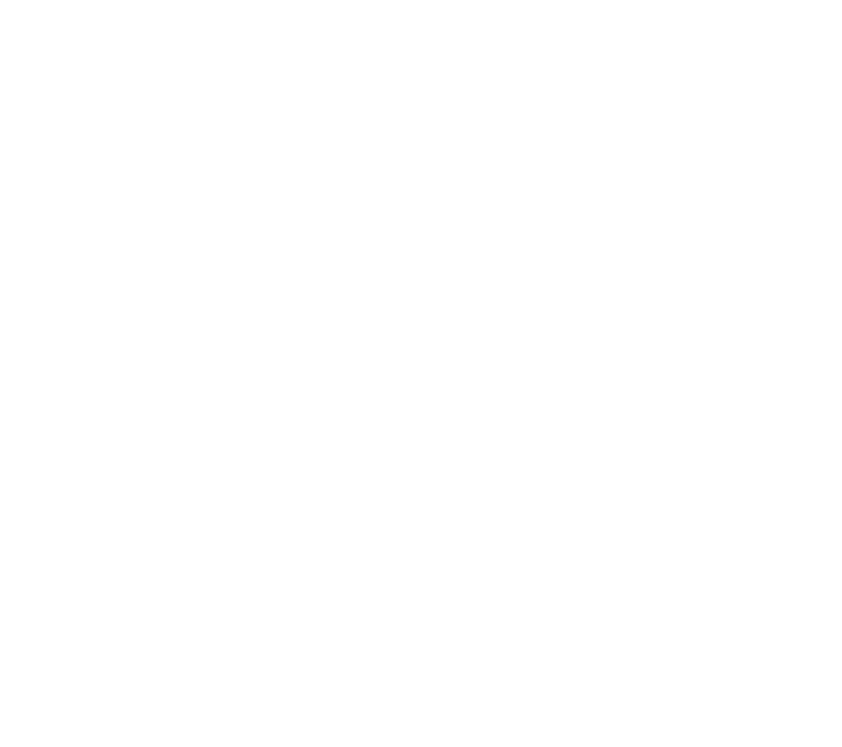 Transformare Consultoria Jr.